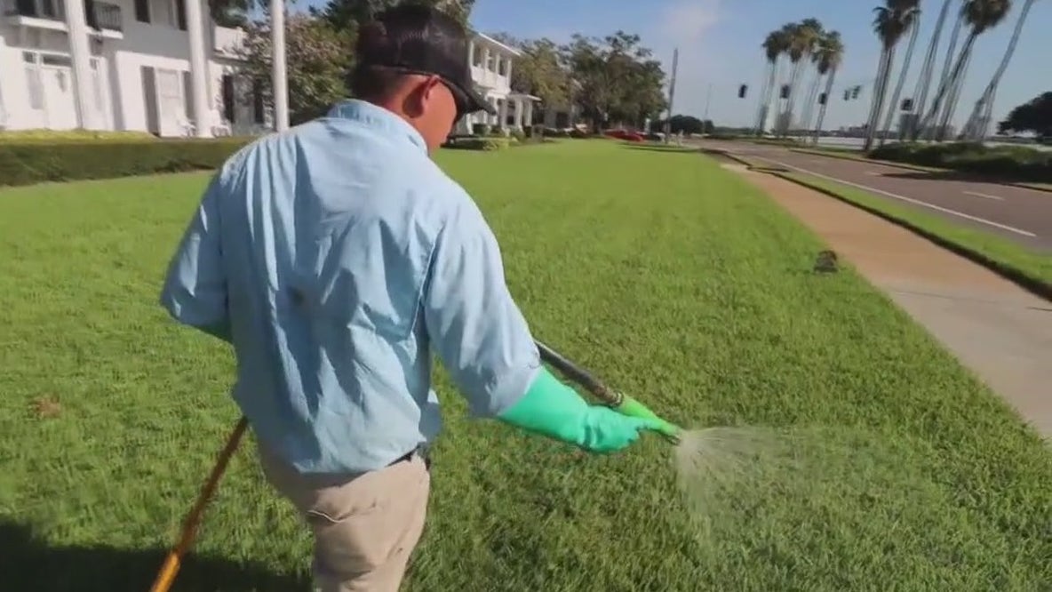 Fertilize your lawn without damaging the environment